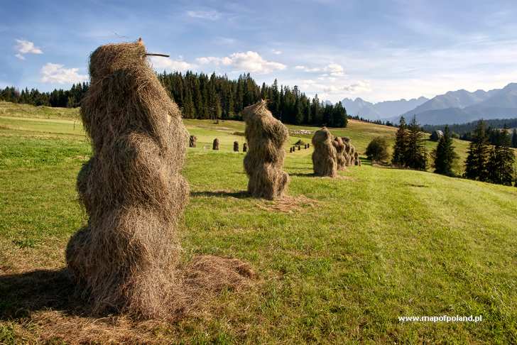 Widok Na Tatry Z Głodówki - Białka Tatrzańska