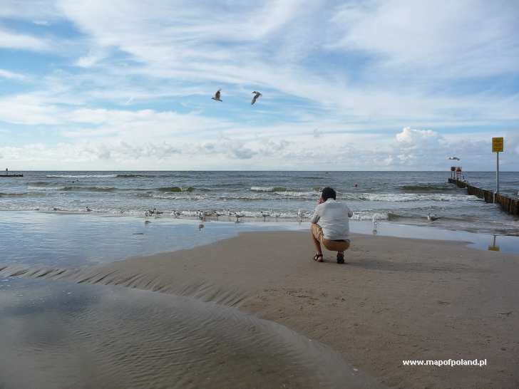 Na Plaży W Kołobrzegu Zdjęcie 253658 Kołobrzeg 5997